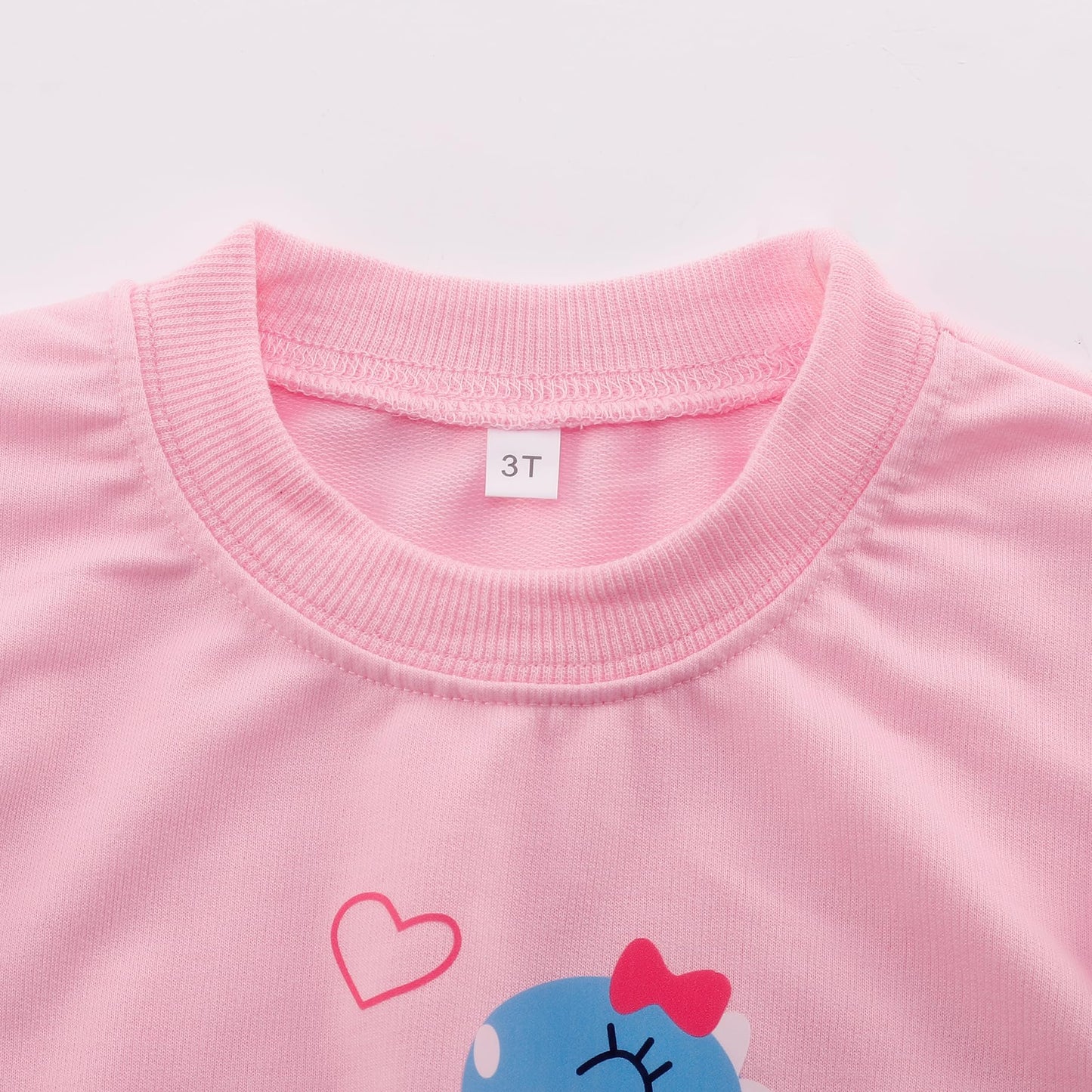 Retsugo Toddler Girls Outfits Girls Dinosaur Clothes Long Sleeve Dino Tshirt And Pants 2Pcs Dinosaur Outfit For Girls Clothes Fa