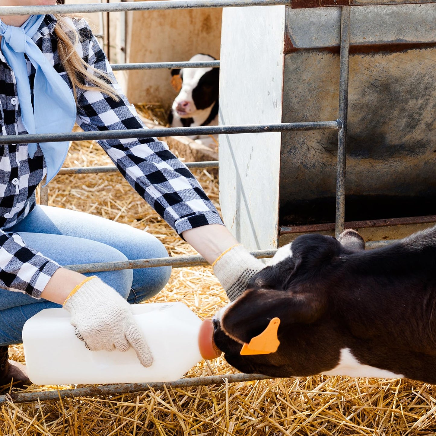 2 Quart Calf Nursing Feeding Bottle With A Replacement Nipple, Calves Nursing Milk Feeding Bottle With Handle Livestock Supplie