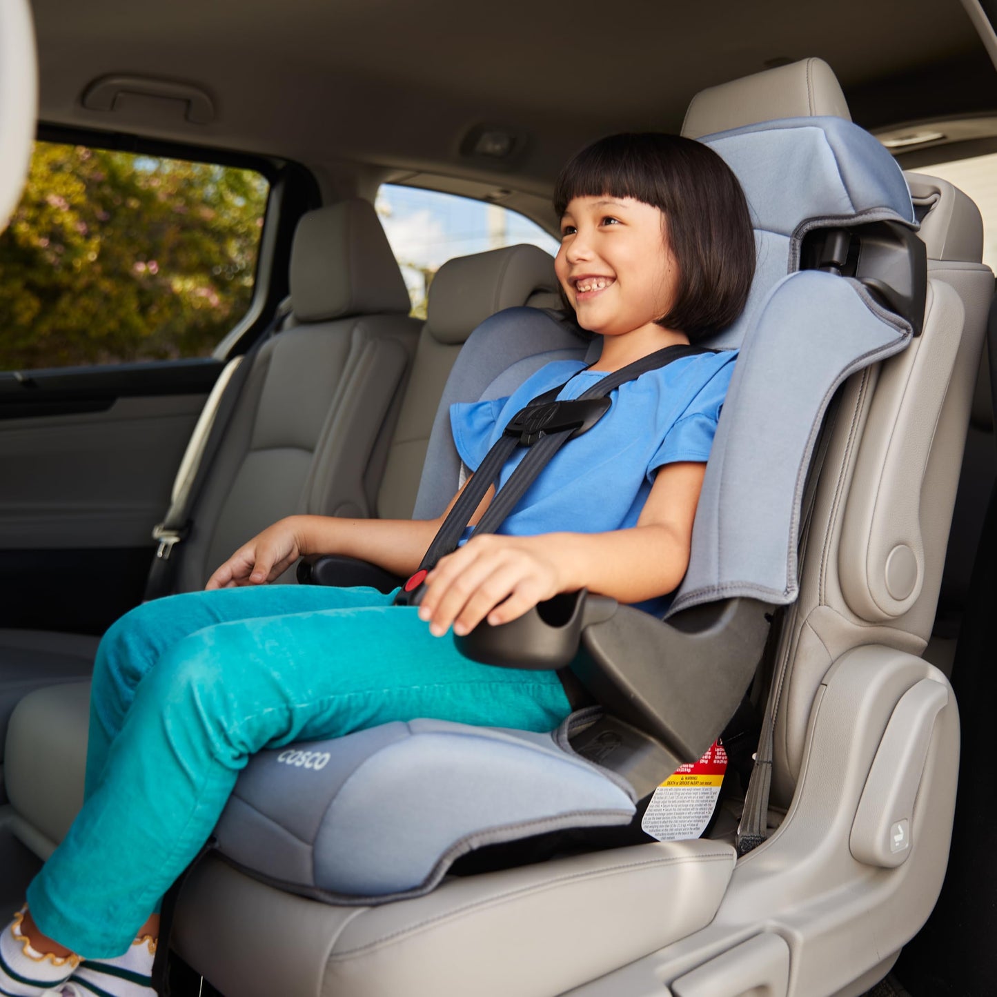 Cosco Kids Finale DX 2-in-1 Booster Car Seat, Forward Facing Toddler Car Seat (30-65 lbs) and Belt Positioning High Back Booster