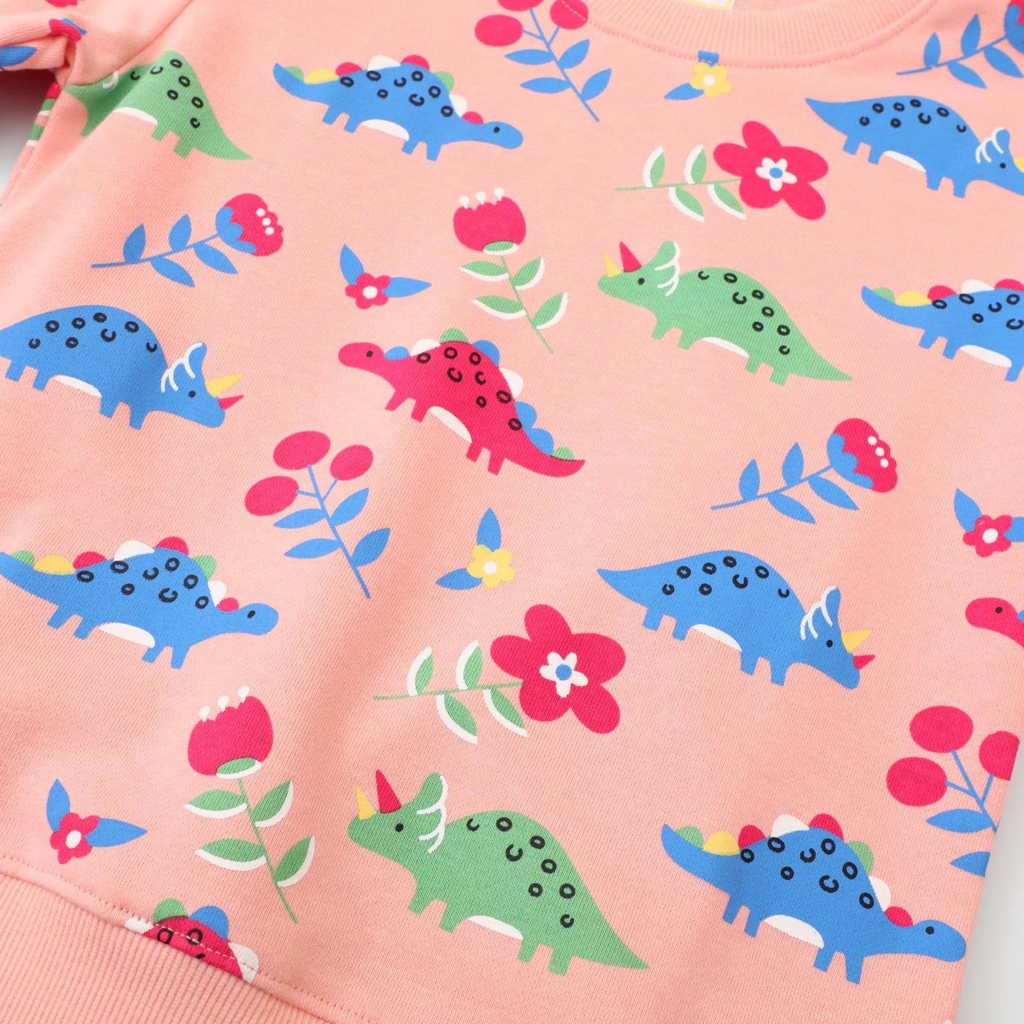 Dinosaur Sweatshirt Girls Long Sleeve Crewneck Cotton Animal Pullover Kids Winter Pink Sweaters Tops Toddler Girl Dino Shirts 7T