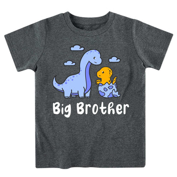 Funnycokid Big Brother Shirt 3T 2T Dinosaur Big Bro Short Sleeve Grey Big Brother Toddler T Shirt Pregnancy Announcement Gifts F