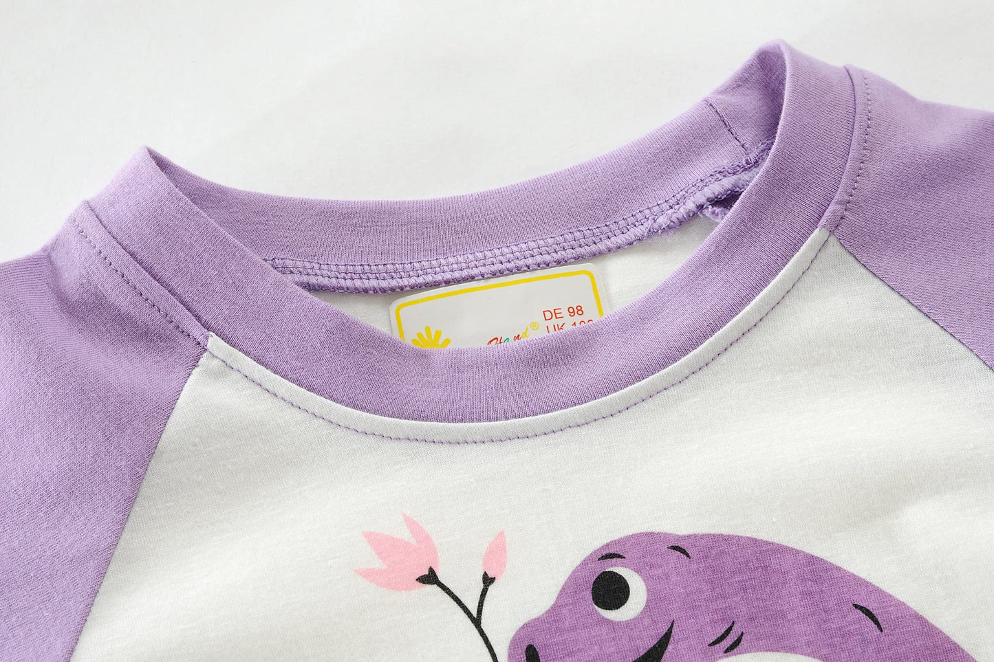 Little Hand Kids & Toddler Girls Dinosaur Pajamas 2 Piece Pjs Set 100% Cotton Long Sleeve Purple Sleepwear 4T