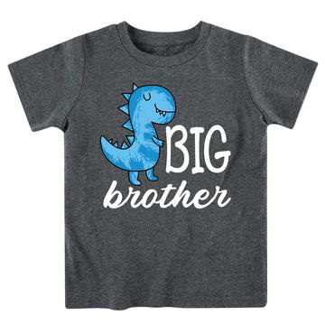 Funnycokid Big Brother Shirt 5T 4T Dinosaur For Toddler Boys Promoted To Big Brother Grey Size 5 Pregnancy Announcement Gifts Fo
