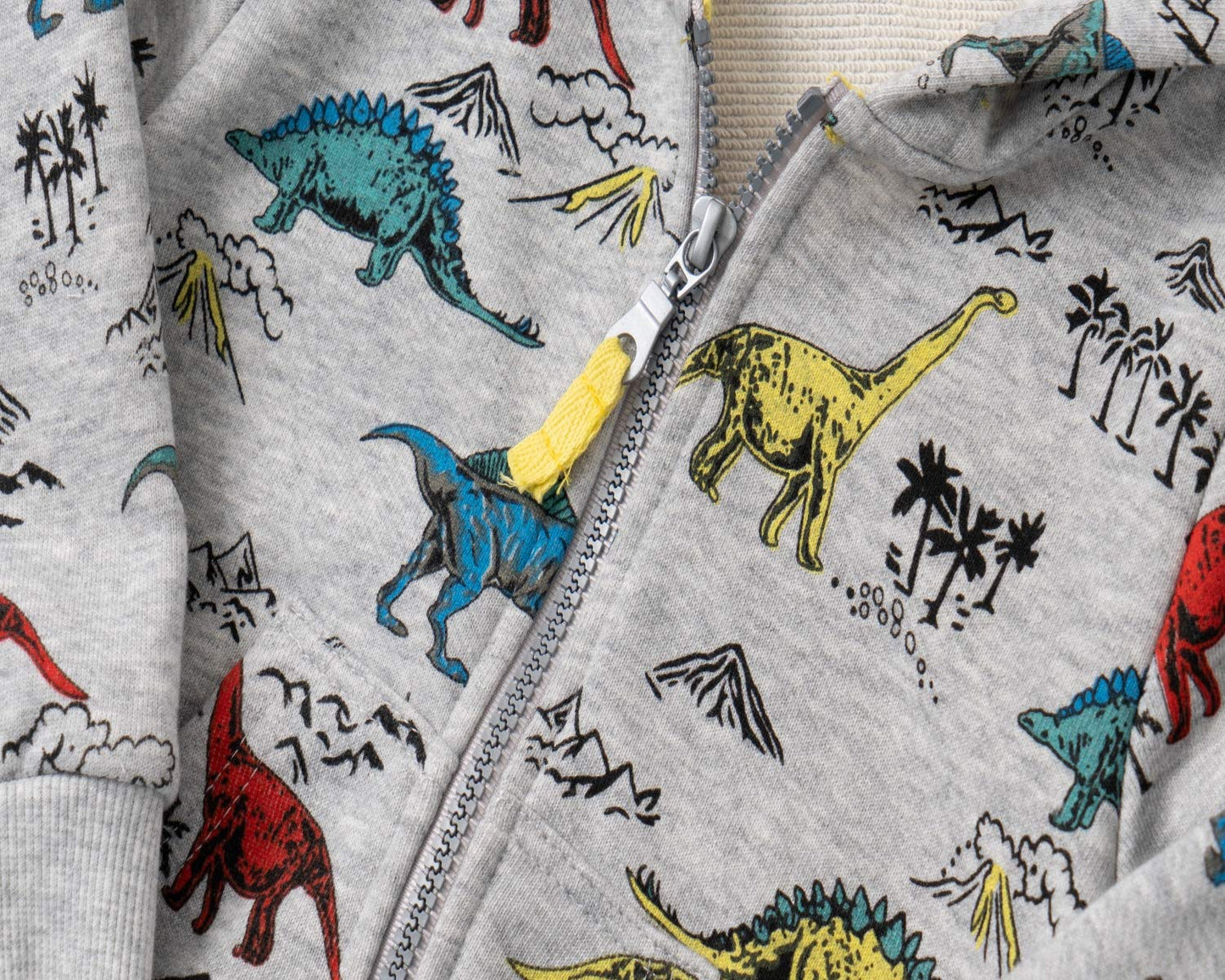 Leexiang Toddler Boys Full Zip Dinosaur Hoodies Comfortable Sweatshirt (Dinosaur, 4-5T)