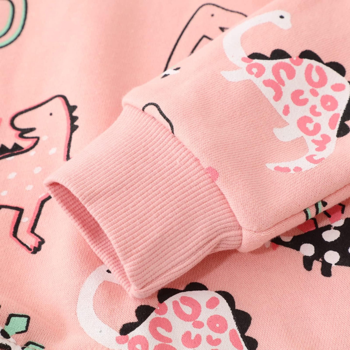 Dinosaur Sweatshirts For Girls Toddler Girl Dinosaur Long Sleeve Pullover Top Shirts Baby Girls Winter Clothes Crewneck Dino Swe