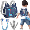 Toddler Harness Leash+ Anti Lost Wrist Link, Accmor Cute Dinosaur Kids Harness With Leash, Foldable Child Leash Baby Walking Wri