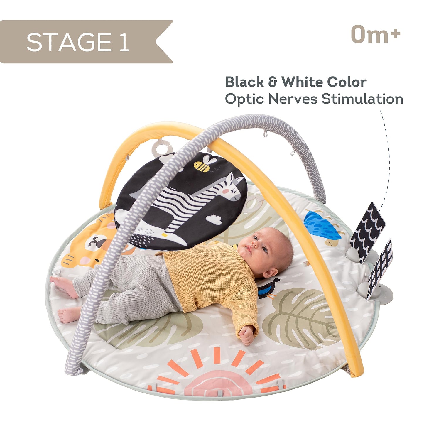 Taf Toys Savannah 360 Activity Gym With Music & Light & 20 Playful Activities, Thickly Padded With Soft Mat And A Unique Crinkle