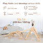 Indoor Playgroud Jungle Gym For Toddlers Slide,Climbing Toys For Toddlers Playset-Indoor Play Gym Swedish Ladder,Climbing Play S