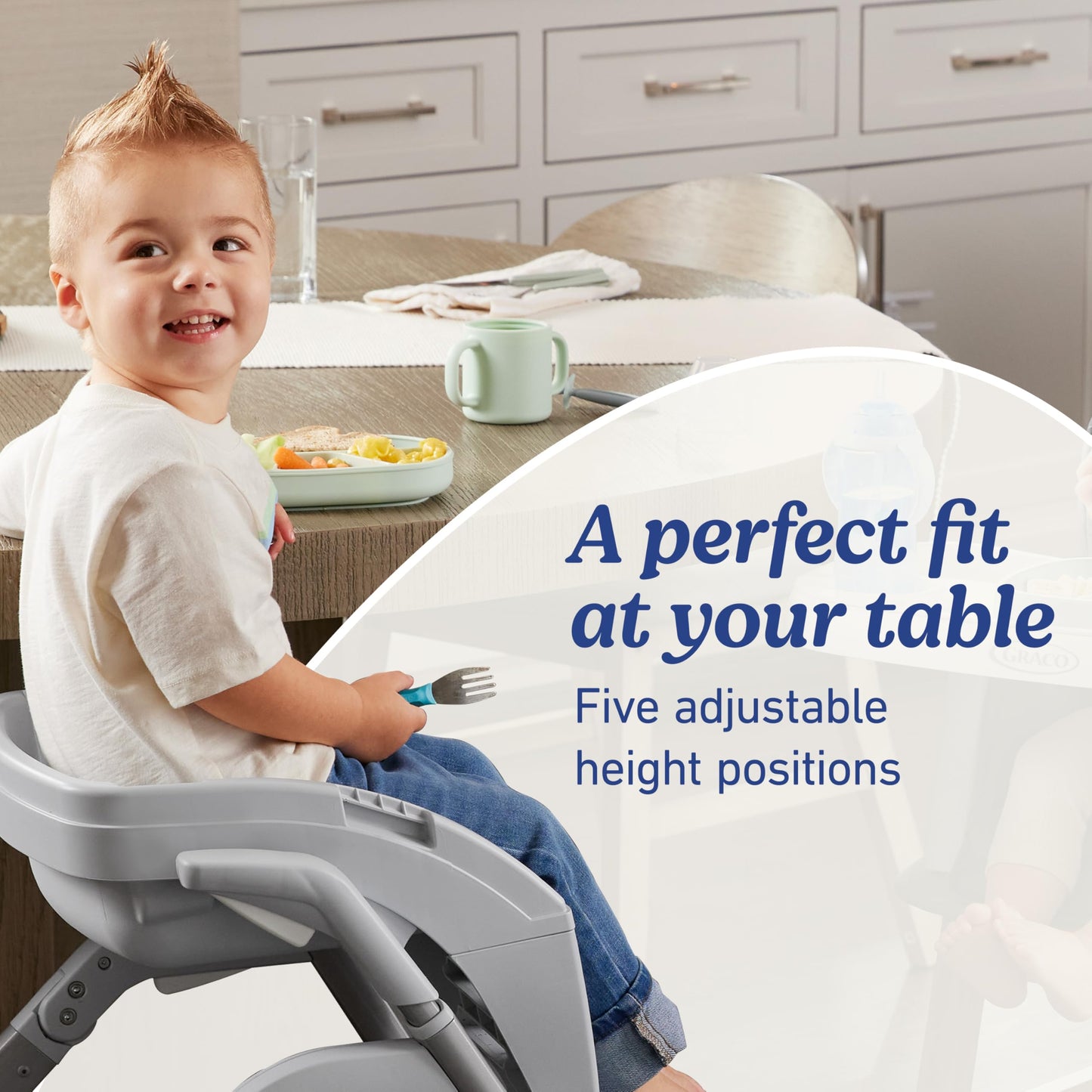 Graco Duodiner Dlx Highchair, 6 Stages Of Use - Infant To Baby High Chair, Infant To Toddler Booster Seat, Youth Stool, 5 Adjust