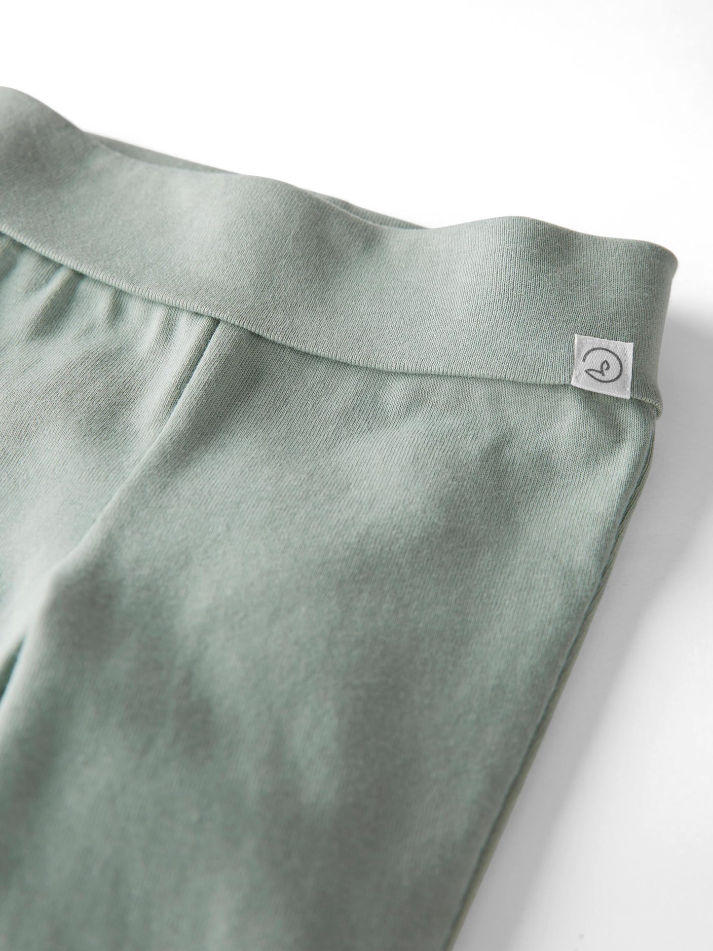 Little Planet By Carter'S Unisex-Baby 2-Pack Pants Made With Organic Cotton, Green/Charcoal, 24 Months
