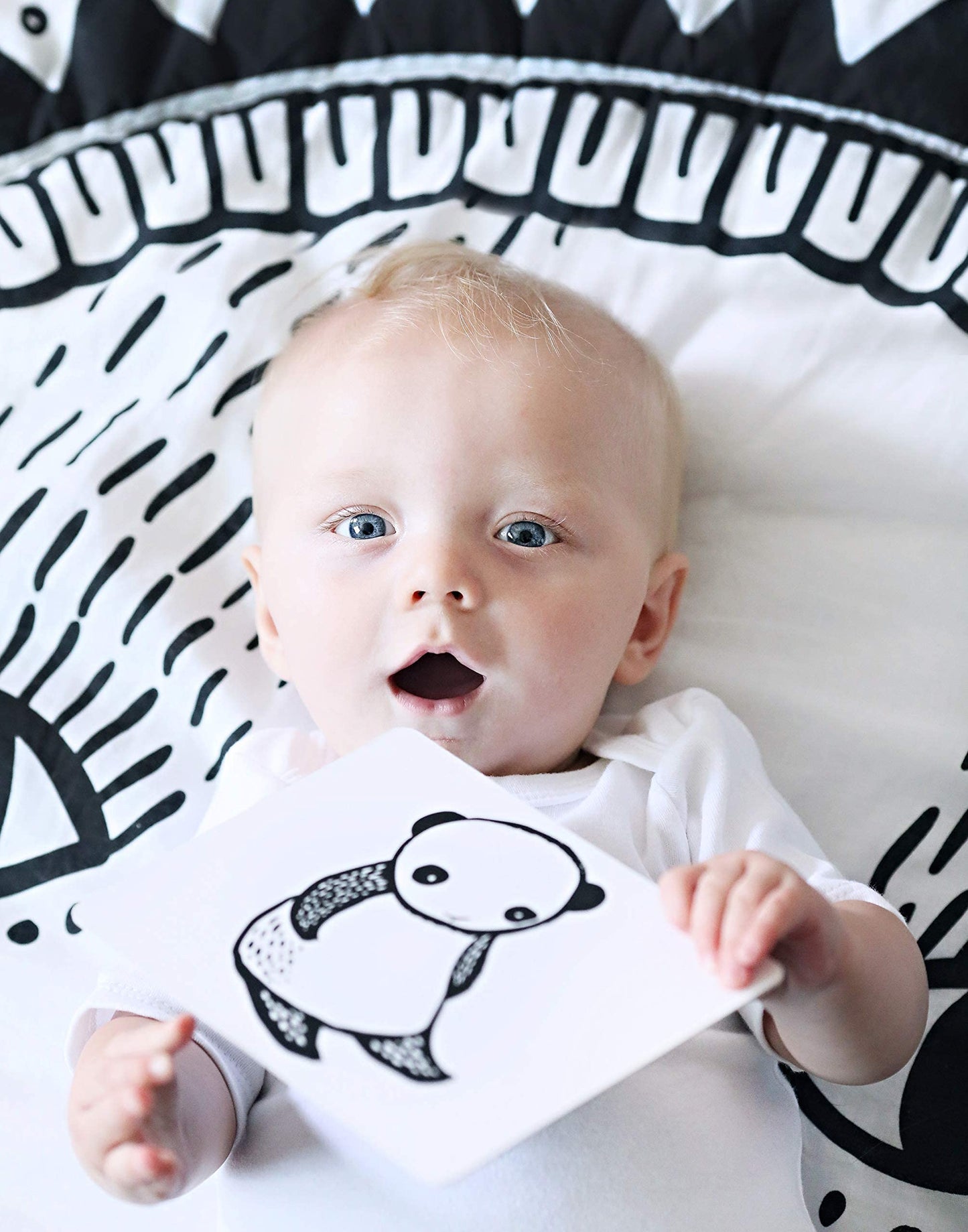 Wee Gallery Black and White Art Flash Cards for Babies, High Contrast Educational Animal Picture Cards, Baby Visual Stimulation,