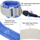 Blisstime Toddler Leash, 2 Pack Kid Leash Anti Lost Wrist Link With Key Lock Baby Leash Harness For Toddler (Blue+Pink)