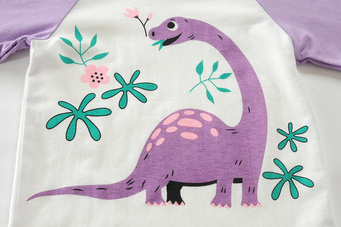 Little Hand Kids & Toddler Girls Dinosaur Pajamas 2 Piece Pjs Set 100% Cotton Long Sleeve Purple Sleepwear 4T