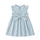 Simplee Kids Baby Blue Dress Toddler Ruffled Dress Little Girls Casual Dress Playwear Sundress For Spring Summer 4T