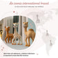 Sophie la girafe | Fanfan The Fawn | Teether Friend to Sophie la girafe | Natural Rubber | Designed for Teething Babies | Awaken