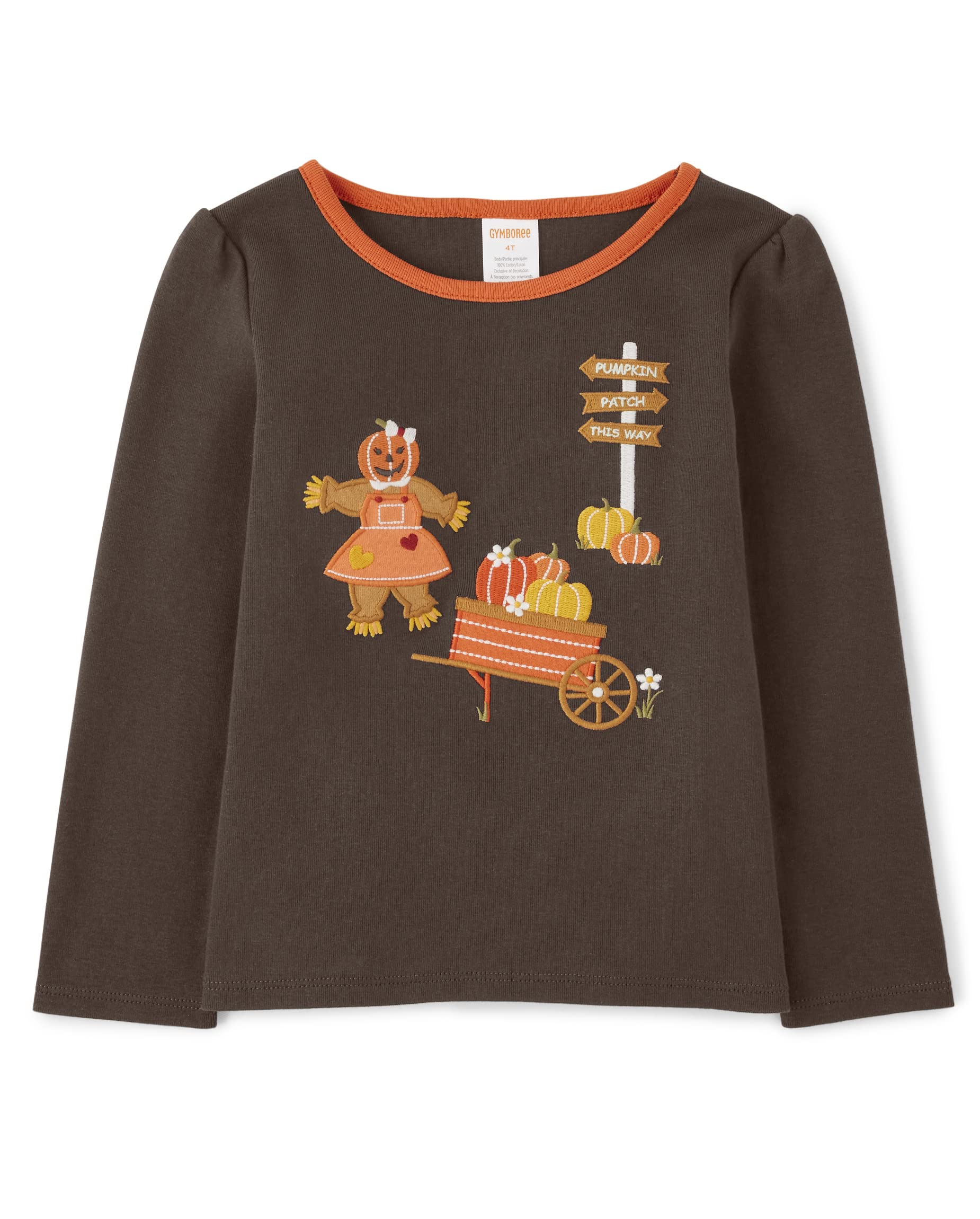 Gymboree Girls And Toddler Embroidered Graphic Long Sleeve T-Shirts, Pumpkin Scene, 18-24 Months