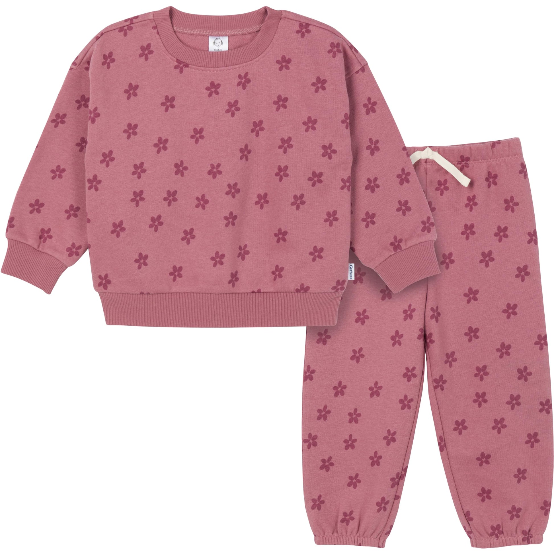 Gerber Baby Girls Toddler 2-Piece Fleece Sweatshirt And Jogger Set, Daisies, 4T