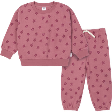 Gerber Baby Girls Toddler 2-Piece Fleece Sweatshirt And Jogger Set, Daisies, 4T