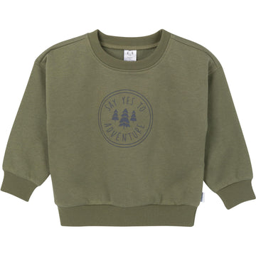 Gerber Baby Boys Toddler 2-Piece Fleece Sweatshirt And Jogger Set, Olive, 0-3 Months