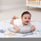 Aden + Anais Play And Discover Baby Activity Gym - 30+ Developmental Benefits - 3 Attachable Toys + Plush Tummy Time Pillow - 10
