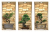 The Nisha 3 PC Pack Art Magic Peel and Stick 3D Vinyl Removable Wall Sticker Decals DIY Sticky Backsplash, Stones Bonsai 922NS