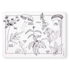 Modern-Twist 10 X 14' Reusable, Waterproof Coloring Mark-Mat Sheet For Kids, 100% Food-Grade Silicone, Pack Of 1, Dangerous Pla