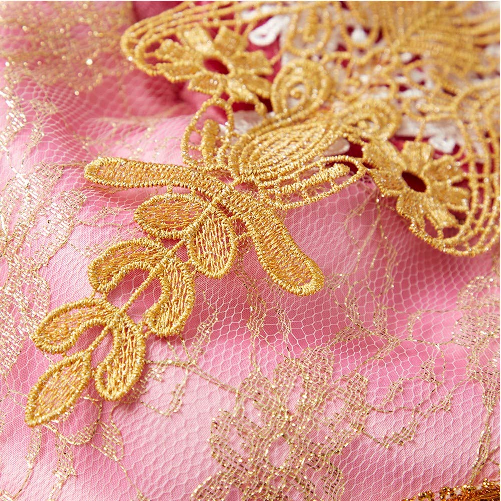 Fmyfwy Girls Aurora Princess Dress Embroidered Lace Sleeping Beauty Fancy Dress Up Halloween Christmas Birthday Gown 9-10T