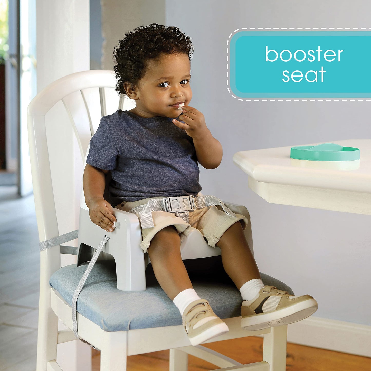Ingenuity Deluxe Learn-to-Dine Feeding Seat - Infant and Toddler Feeding Chair and Booster Seat with Tray and 2 Snap-in Plates