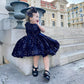Lanmerry Hair Clip With 5 Inches Sequins Large Bow, Alligator Hair Clip For Girls, Women, Teens, Babies, Navy Blue Bow Gift