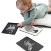 Wee Gallery Black and White Art Flash Cards for Babies, High Contrast Educational Animal Picture Cards, Baby Visual Stimulation,