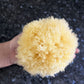 Real Sea Sponges For Babies - 6 Pk Bath Care Set, Gentle, Kind On Skin, For Bathing Washing Body Eyes, Ears Nose, Also For Newbo