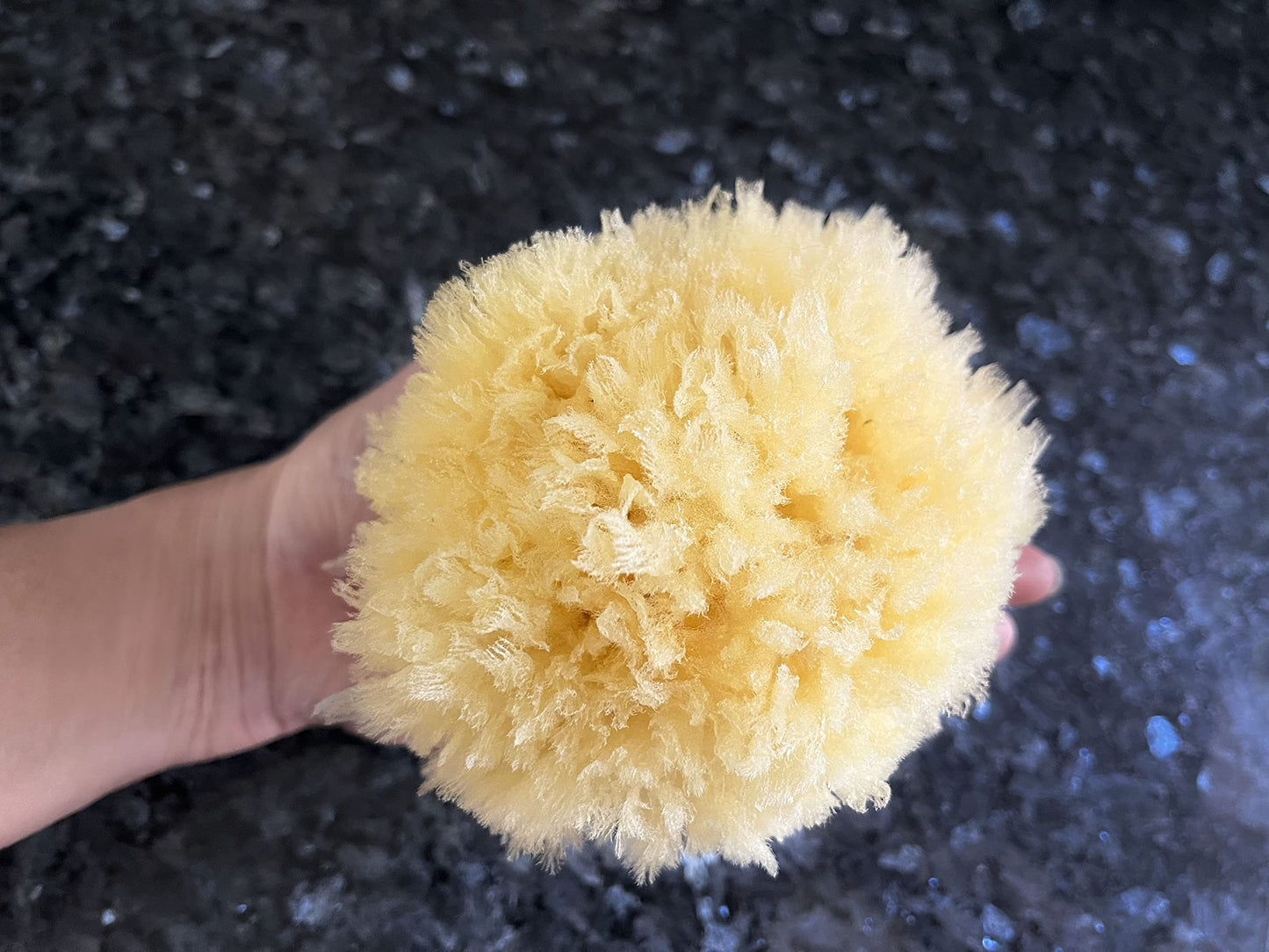 Real Sea Sponges For Babies - 6 Pk Bath Care Set, Gentle, Kind On Skin, For Bathing Washing Body Eyes, Ears Nose, Also For Newbo