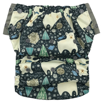 Hybrid Cloth Diaper - Reusable Training Pants, Swim Diaper, Special Needs Briefs, Fits From Baby Up To 10 Years (Size 3, Polar B