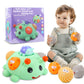 ROHSCE Baby Sensory Toys Montessori Balls for Toddlers 1-3, Perfect Teething Gift, Sensory Balls in Ball for Babies 6-12 Months,