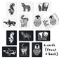 Wee Gallery Black and White Art Flash Cards for Babies, High Contrast Educational Animal Picture Cards, Baby Visual Stimulation,