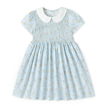 Simplee Kids Toddler Light Blue Dress Toddler Summer Dress Smocked Toddler Floral Dress Baby Blue Dress 2T
