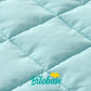 Toddler Nap Mat With Pillow And Blanket, Bluey Lightweight Kids Nap Mats For Preschool Daycare, Travel Sleeping Bag For Boys Gir