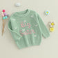 Amnnchya Toddler Infant Baby Girl Knit Sweater Big Sister Little Sister Matching Outfits Long Sleeve Pullover Sweatshirt (Green