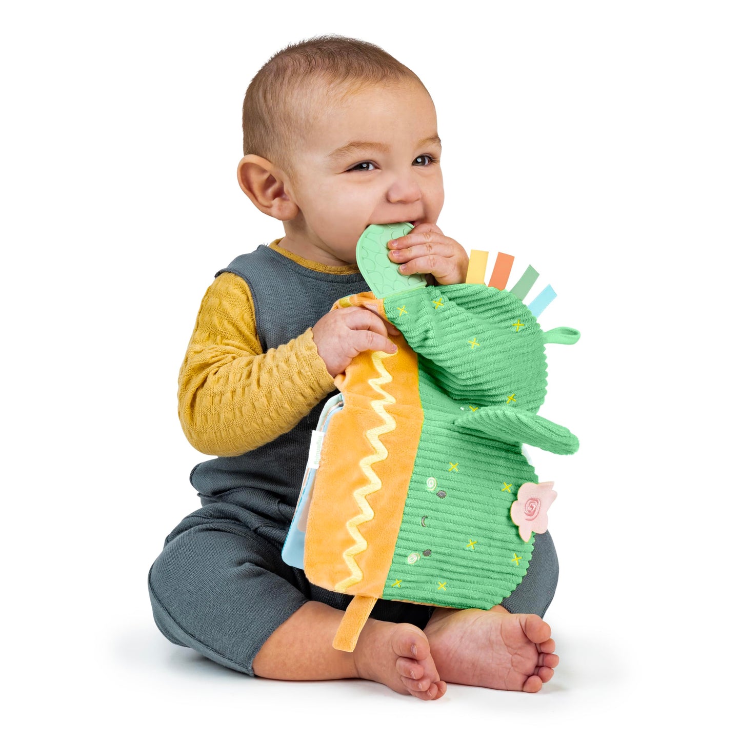 Ingenuity Calm Springs Soft Teething Activity Book - Multi-Texture Crinkle, Teether, Number Learning, Mirror, Unisex, for Ages 0