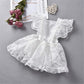 Baby Girl Lace Dress, Princess Dress Tulle White Party Wedding Summer Dress Clothes (White, 6-12Months)