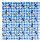 Pookie Plastic Sheet | Rubber Sheet For Babies | Bed Wetting Protector | 012 Months | 90 X 90 Cm (Blue Bottle)