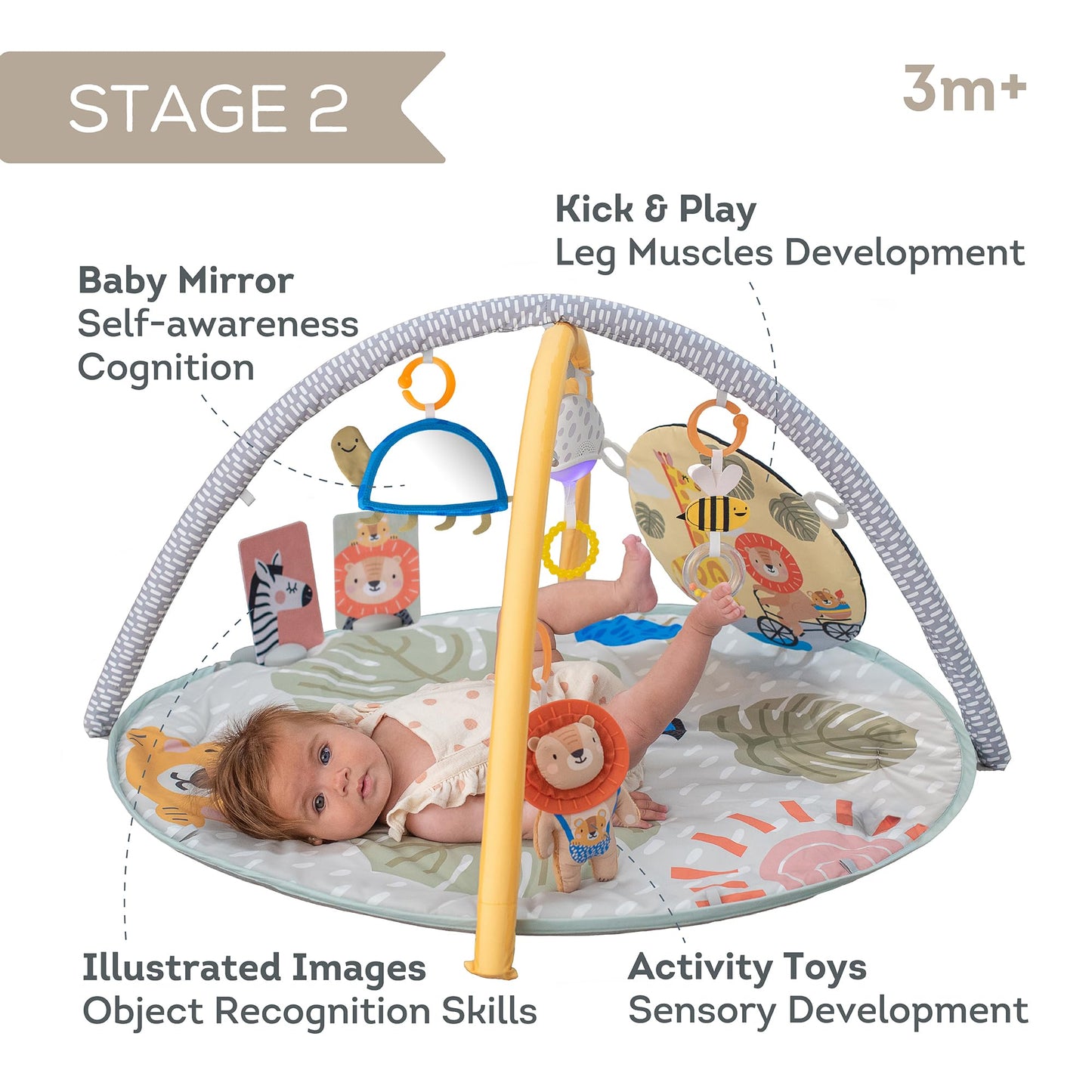 Taf Toys Savannah 360 Activity Gym With Music & Light & 20 Playful Activities, Thickly Padded With Soft Mat And A Unique Crinkle