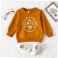 Boebnozcv Toddler Boy Girl Halloween Pumpkin Patch Sweatshirt Outfit Long Sleeve Oversized Sweater Shirts Fall Blouse Clothes (B