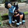 PonyCycle Ride on Toys Kids Riding Horse Ride-on Rocking Horse Pony Cycle for Toddlers Walking Animal Unicorn Toys Birthday Gift