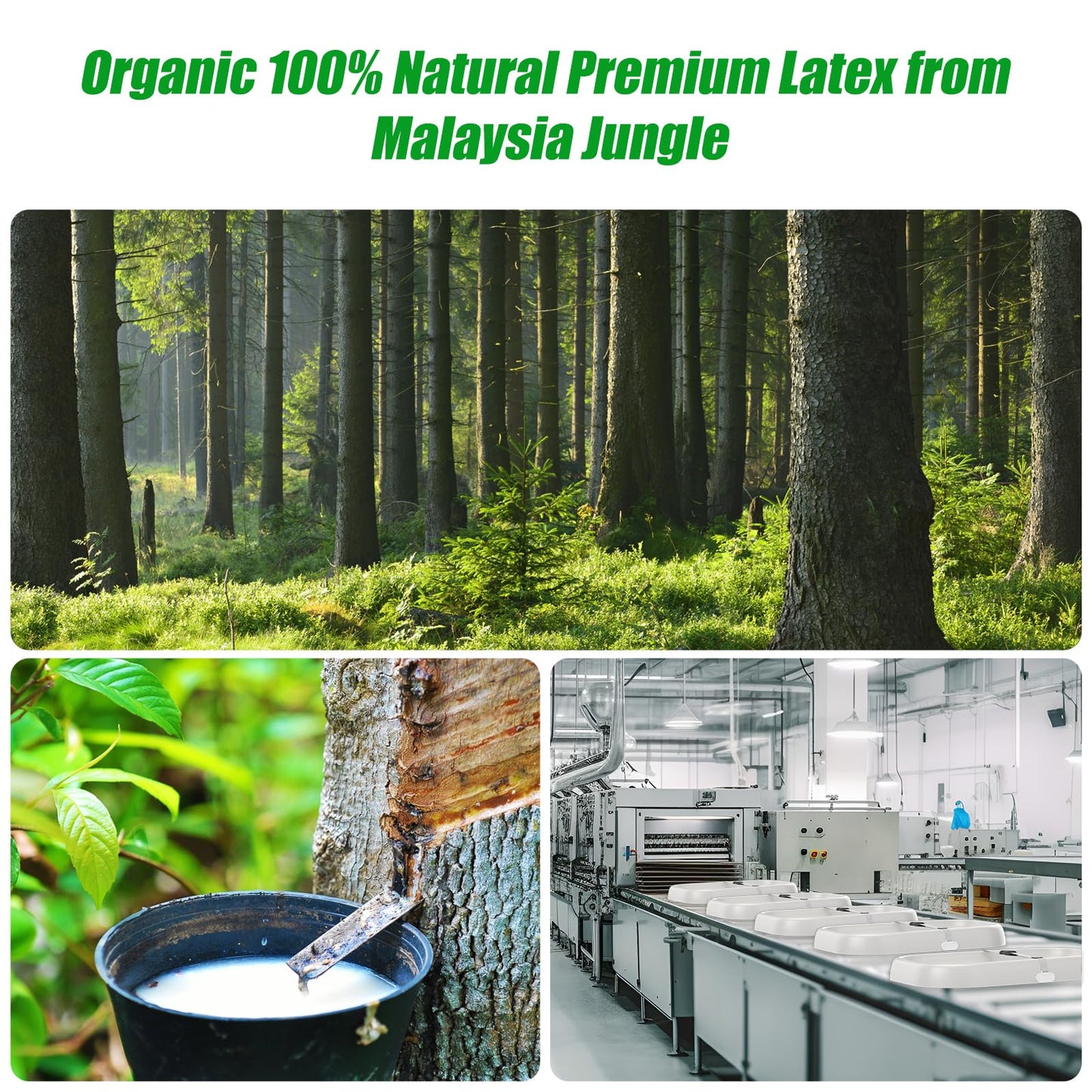Pskikkp Changing Pad, Organic 100% Natural Premium Latex From Malaysia Jungle,27.6'  17' Skin-Friendly Surface, Easy To Clean,