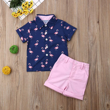 Toddler Baby Boy Flamingo Short Sleeve Button Down Shirt & Casual Shorts Set Summer Outfits 1-6 Years Clothes