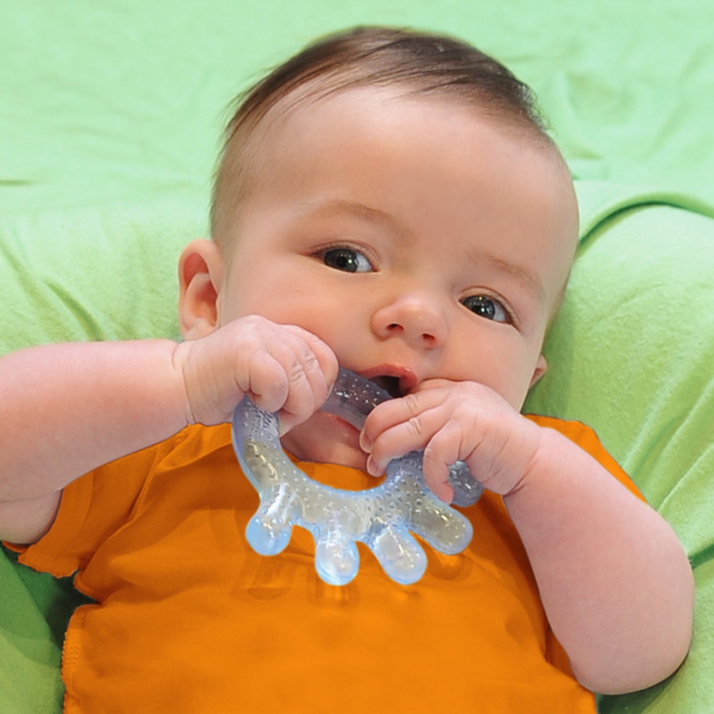 green sprouts Cooling Teether| Soothes gums & promotes healthy oral development |Safer plastic filled with sterilized water,Chil