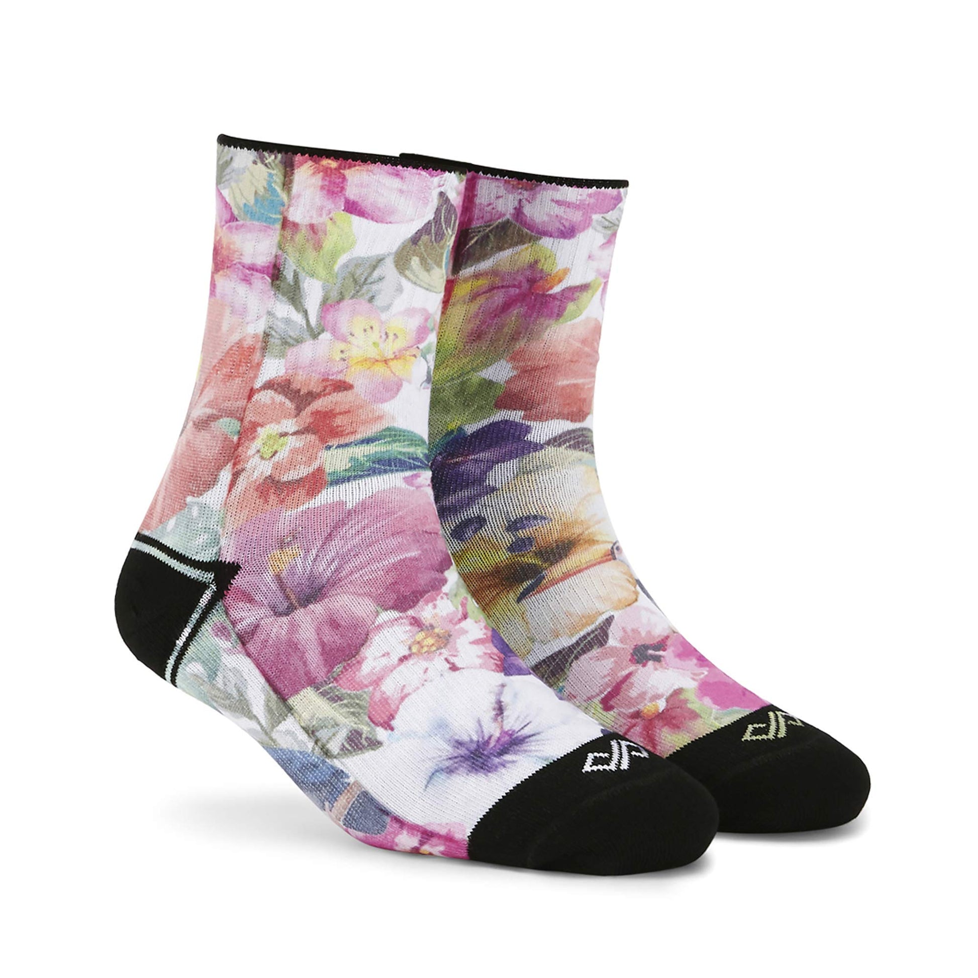Dynamocks Exotica Men & Women Ankle Length Socks (Small(68))