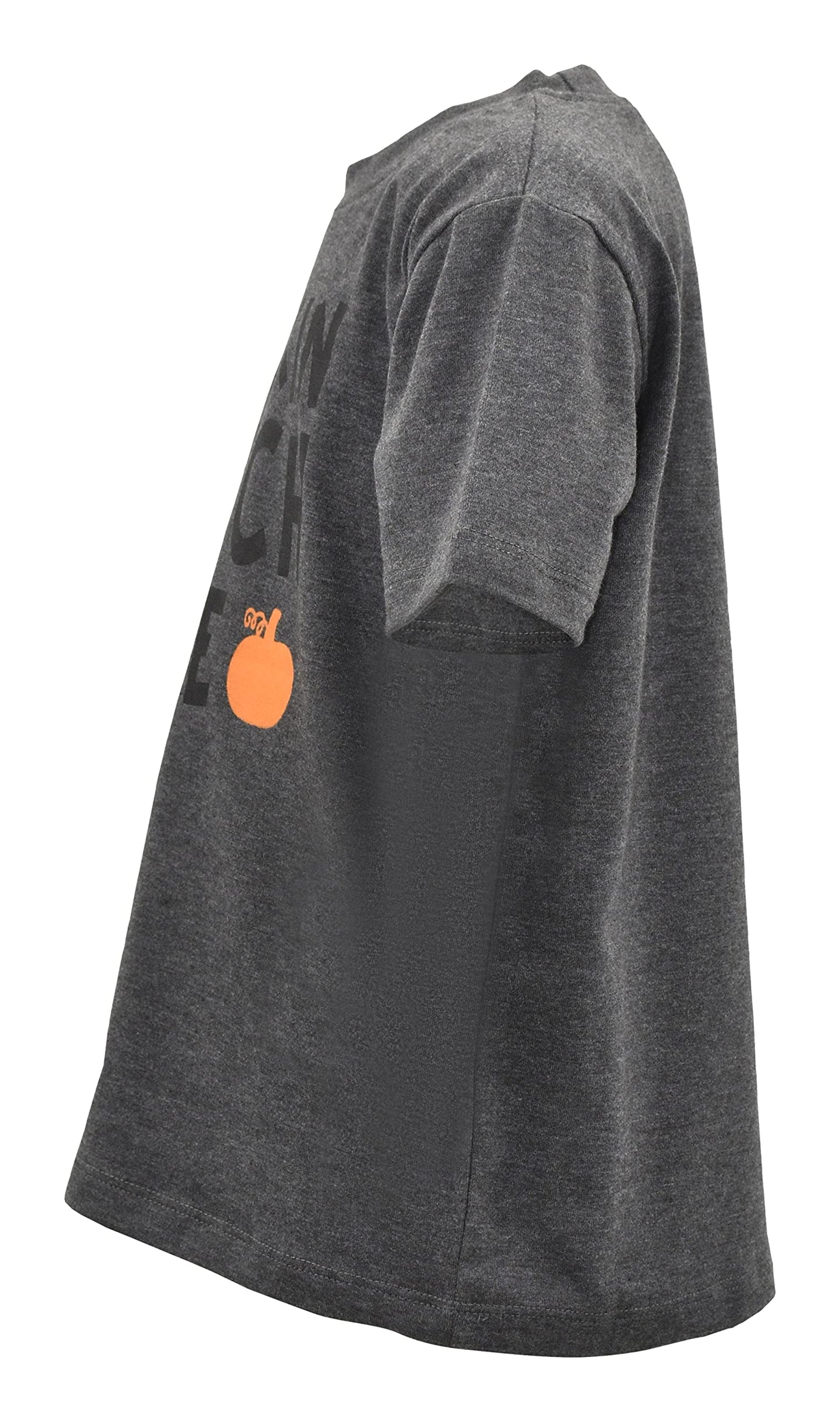 Unique Baby Boys Toddler Halloween Fall Autumn Pumpkin Patch Dude Tshirt (10, Gray)