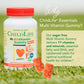 Childlife Essentials Multivitamin Gummies For Kids - Children'S Vitamins, Kids Multivitamins With Dha, Sugar Free - Natural Stra